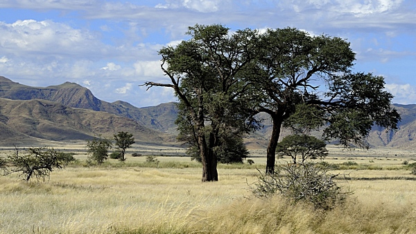 Landschaften bei der Namib Desert Lodge.