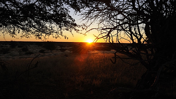 Sonnenuntergang am Rande der Kalahari Anib Lodge.